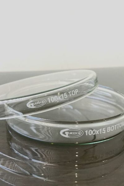 Glass Dishes